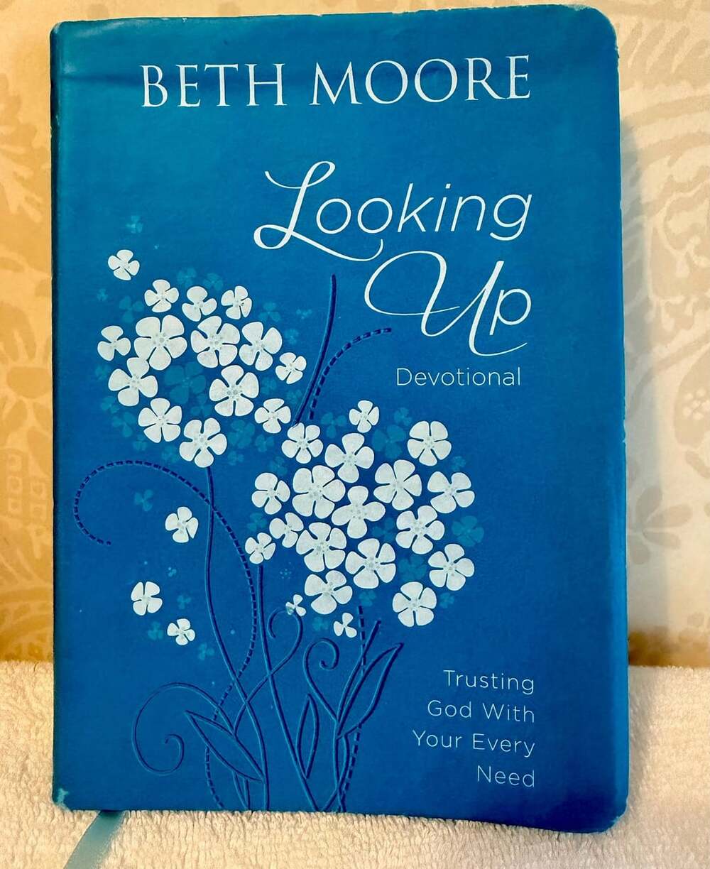 Beth Moore Looking Up Devotional Blue Imitation Leather Bound Christian Book